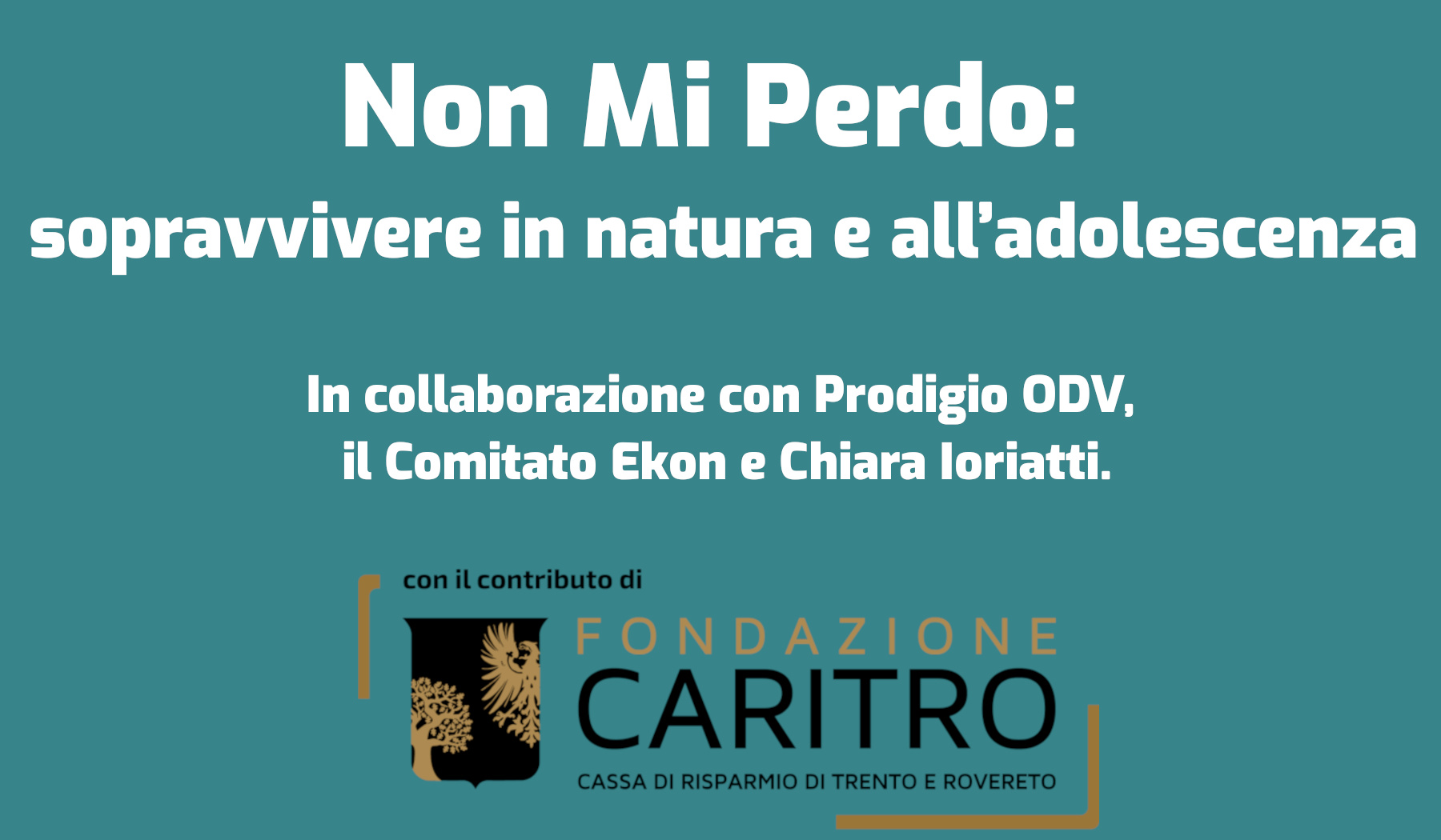 nn mi perdo