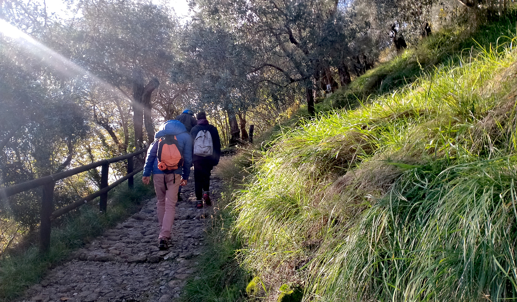 progetti archè incontri in cammino